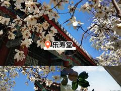 -颐和园