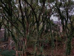 -台州府城(江南长城)
