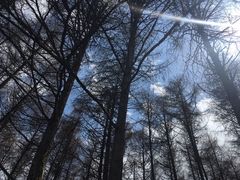 -硗碛藏寨·神木垒景区