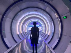 -泉城欧乐堡梦幻世界