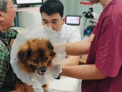 -宠福鑫康馨动物医院·骨科·眼科