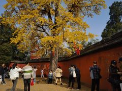 -金堂县云顶石城风景区