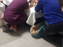 -达爱动物医院·犬猫分区·CT·复杂眼科(远洋山水分院)