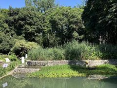 -成都市活水公园