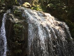 -藏龙百瀑风景区