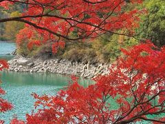 -叠溪松坪沟景区