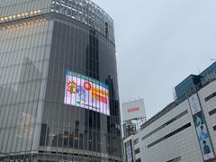 -涩谷区