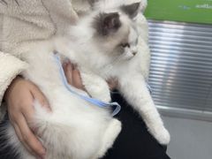 -心仪动物医院·牙专科·肿瘤·心脏科(西客站院)