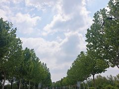 -济南国际园博园