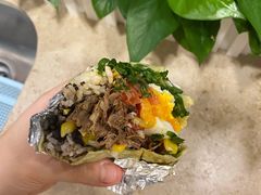 -油梨树 AVOCADO TREE(亮马桥店)