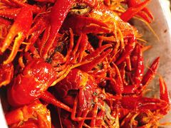 油卤小龙虾-夹夹大·蟹蟹大排档(财富又一城店)