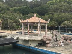 -广东惠东海龟国家级自然保护区