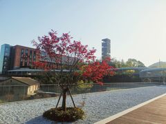 -东钱湖旅游度假区