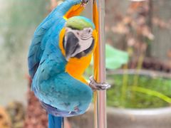 -观桥阁(锦溪店)