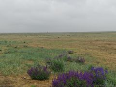 -敕勒川草原文化旅游区