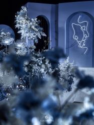 -红丝高端婚礼中心(旗舰店)