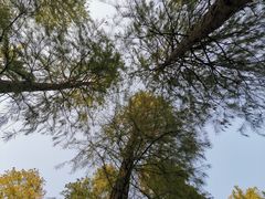 -杭州半山国家森林公园