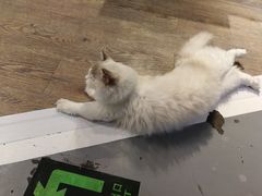 -小时光咖啡馆(开森度假森林店)