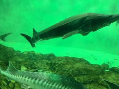 -太平洋海底世界