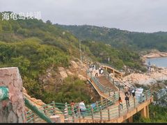 -广东惠东海龟国家级自然保护区