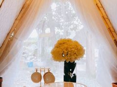 -安德鲁户外烧烤帐篷营地(马泉营店)