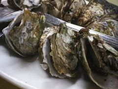 -蚝家菜馆(沙井店)