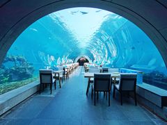 -海棠湾洲际-涛·海底餐厅·美人鱼·自助餐·海底隧道