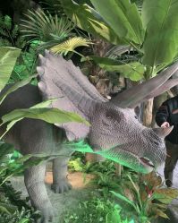 -恐龙探索乐园(磁器口店)