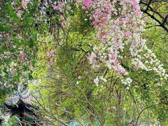 -深圳国际园林花卉博览园