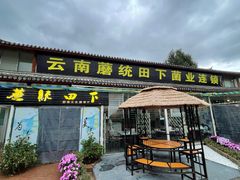 -蘑统田下·野生菌火锅