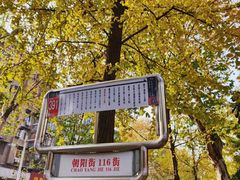 -宝通禅寺