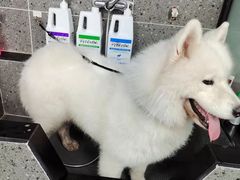 -宠物家(大兴旧宫店)