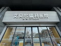 -艾贝尔宠物医院·24H转诊中心·肿瘤猫专科(江宁双龙店)