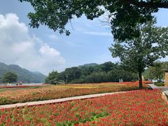 -广州市石门国家森林公园