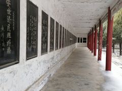 -赵州桥景区