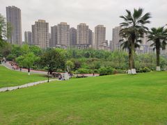 -龙头寺公园
