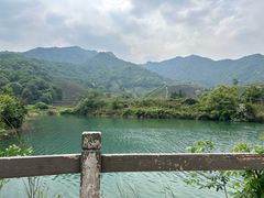 -龙坞茶村