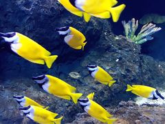 -华夏文旅海洋公园