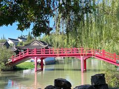 -扬州大运河文化旅游度假区·盆景园