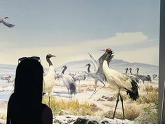 -中国湿地博物馆
