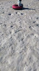 -优沃得自然教育农场·冰雪乐园·生日会·研学