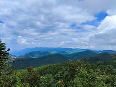 -武陵山森林公园