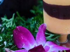 -春晖园度假酒店温泉