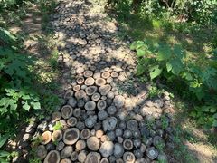 -北京西山国家森林公园