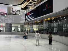 -TheRink大零溜冰场(IFS国金中心店)