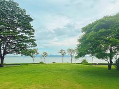 -深圳湾公园(南山区)