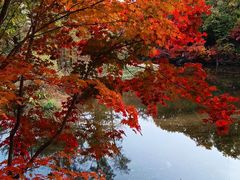 -本溪老边沟风景区