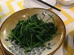 -盐官日光域房车营地·有盐餐厅