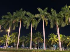 -海口东站