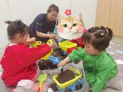 -辫豆HABA儿童馆·创意早教逻辑思维专注力(银泰中心店)